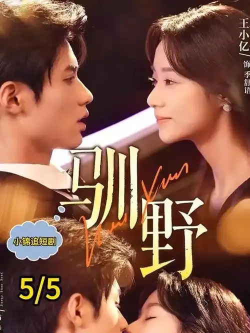 2025中文在线字幕免费观看 日剧 半泽直树